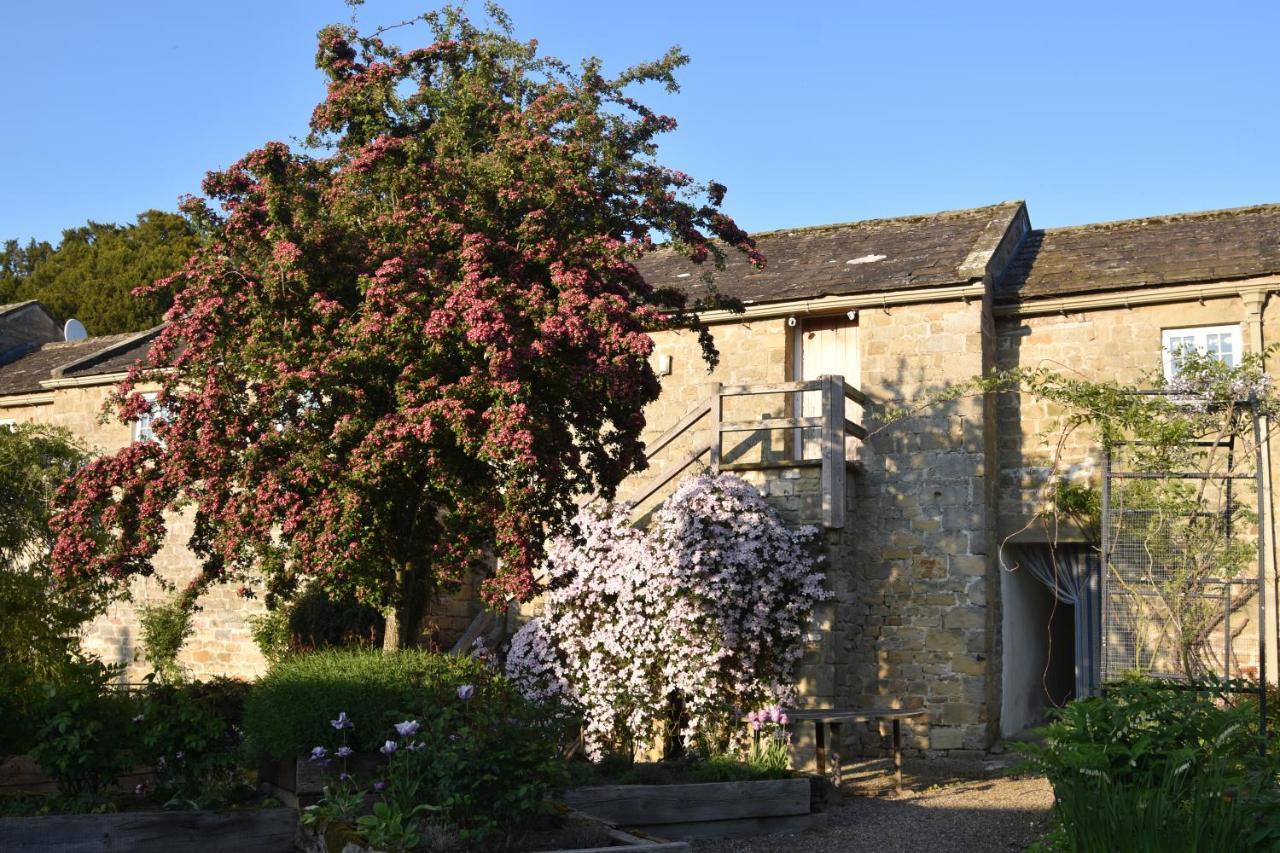 The Coach House At Jervaulx Villa Ripon Eksteriør bilde